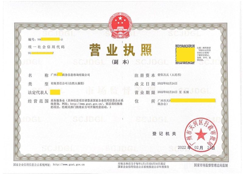 广州商务咨询